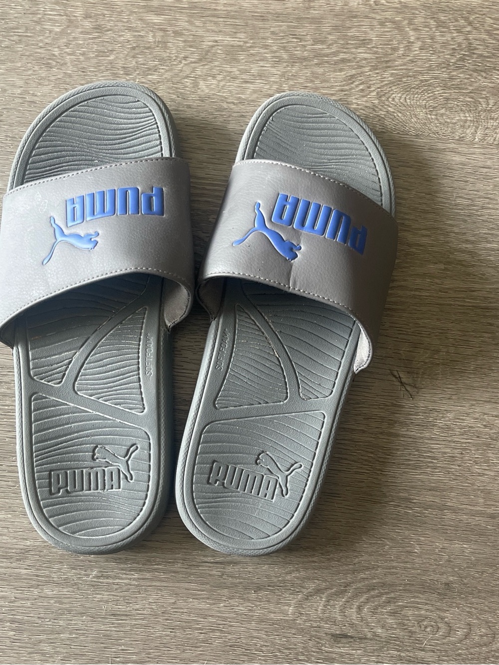 Puma Light Gray Slides with Blue Accent